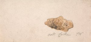 An Oat Cake by James Ward